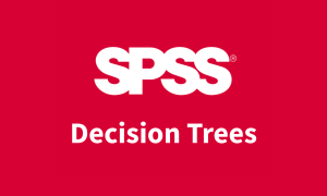 IBM SPSS Decision Trees Authorised User Fixed Term Licence + SW Subscription & Support 12 Months