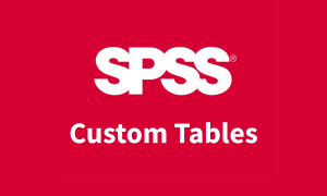 IBM SPSS Custom Tables Authorised User Fixed Term Licence + SW Subscription & Support 12 Months
