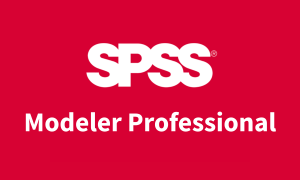 IBM SPSS Modeler Professional Concurrent User Fixed Term License + SW Subscription & Support 12 Months